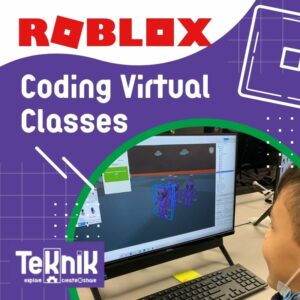 Virtual Roblox Classes - Camp - Private Lessons & Parties